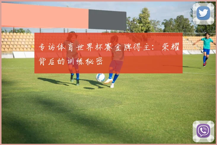 专访体育世界杯赛金牌得主：荣耀背后的训练秘密
