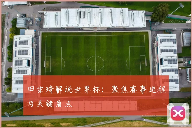 田宗琦解说世界杯：聚焦赛事进程与关键看点