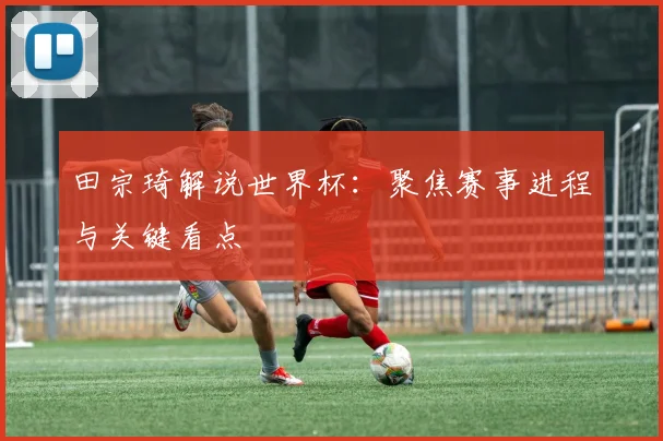 田宗琦解说世界杯：聚焦赛事进程与关键看点